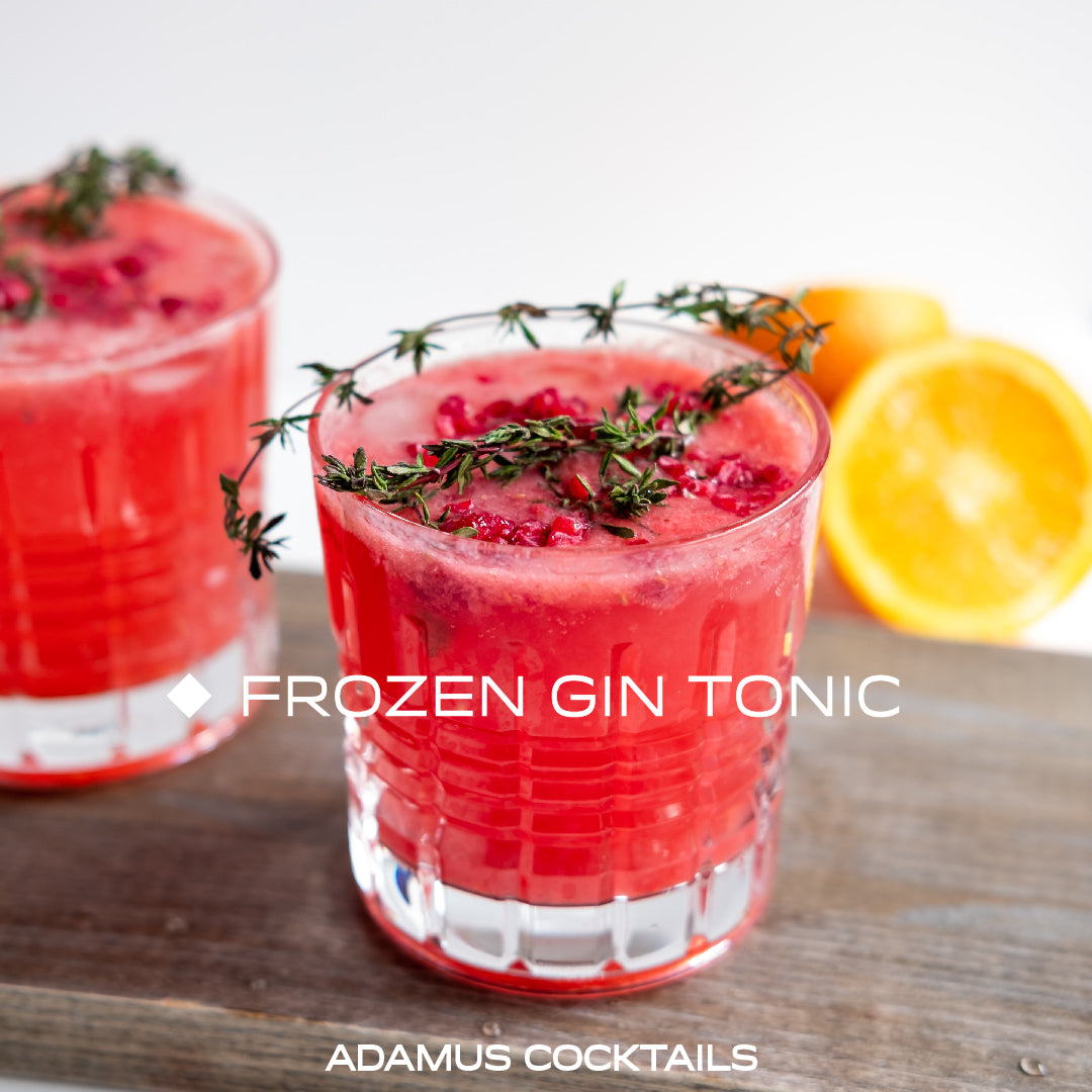 FROZEN GIN TONIC